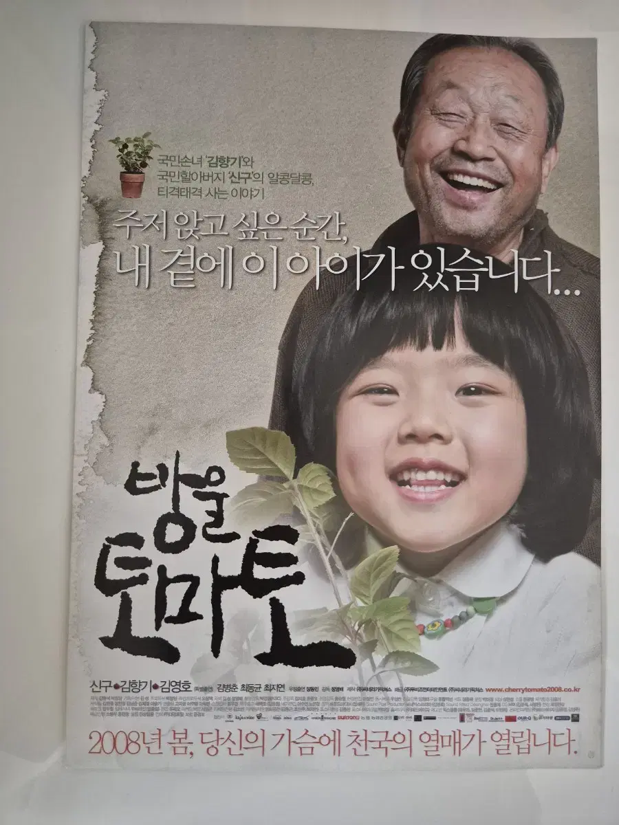 영화 방울토마토 전단지 신구 김향기 (2008)